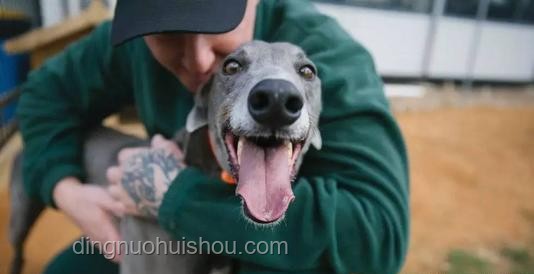 孩童遇恶犬攻击防范知识